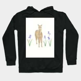 Llama and Irises Hoodie